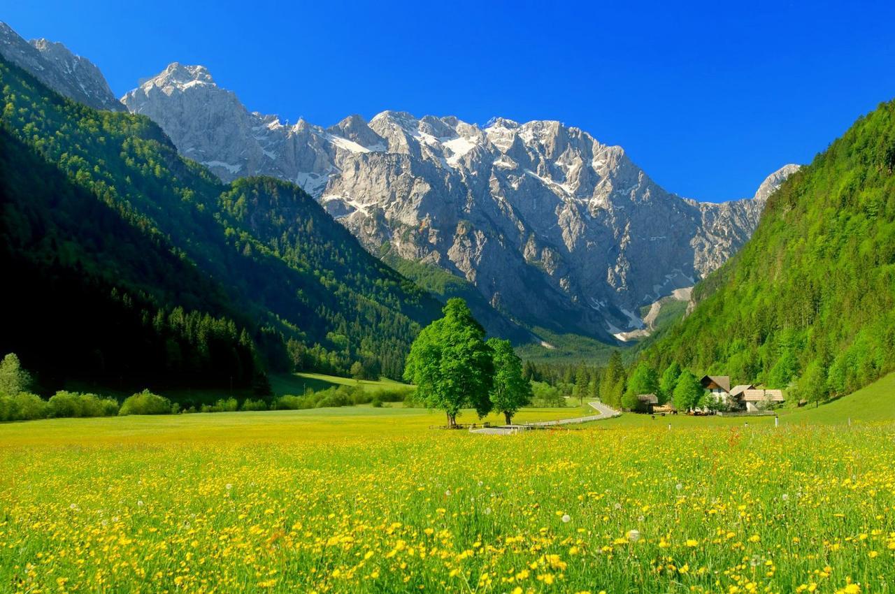 Hotel Planinka Ljubno Luaran gambar